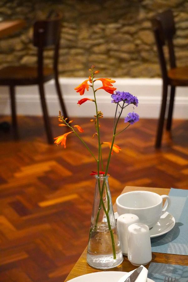 Dingle Garden Townhouse Acomodação com café da manhã Exterior foto A vase of flowers