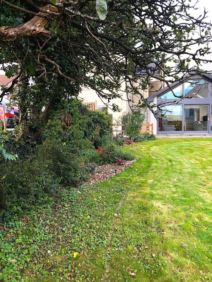 Dingle Garden Townhouse Acomodação com café da manhã Exterior foto The garden of the house