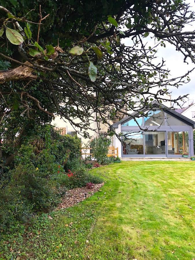Dingle Garden Townhouse Acomodação com café da manhã Exterior foto The garden of the house